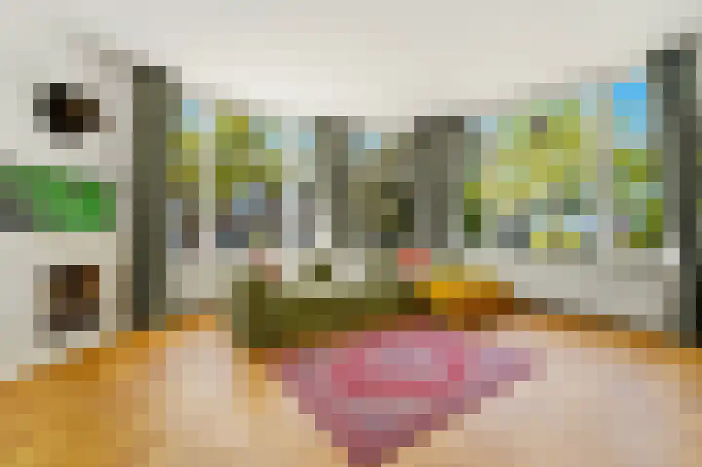 Julianalaan 96 Delft thumbnail 6