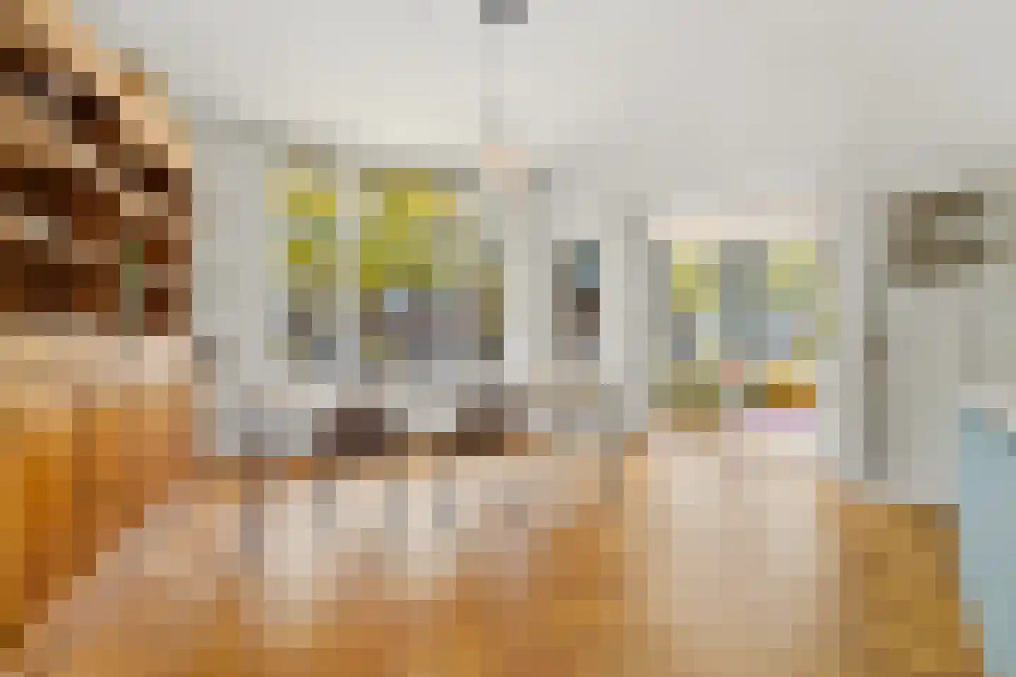 Julianalaan 96 Delft thumbnail 9