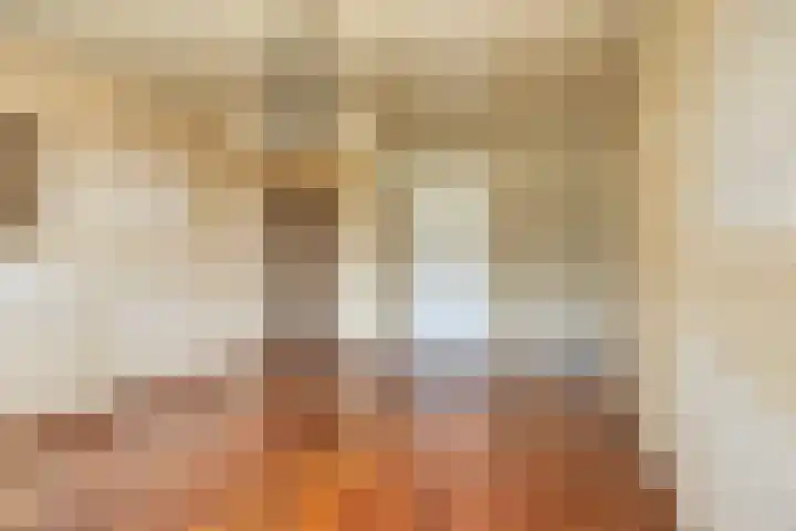 Julianalaan 96 Oss thumbnail 10