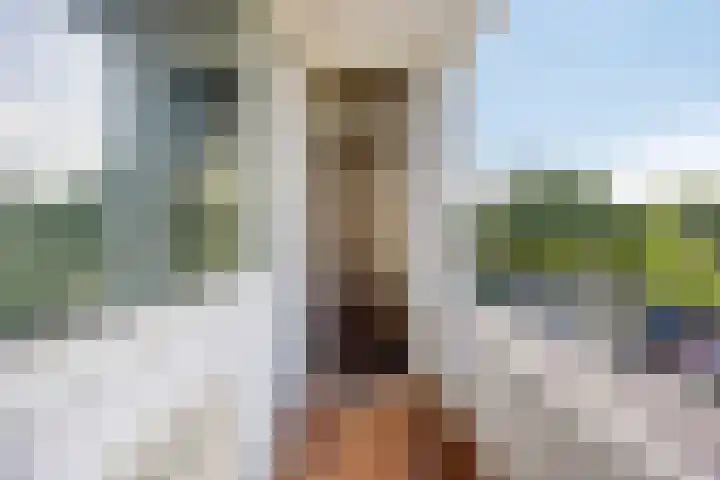 Julianalaan 96 Oss thumbnail 16
