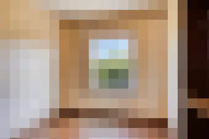 Julianalaan 96 Oss thumbnail 18