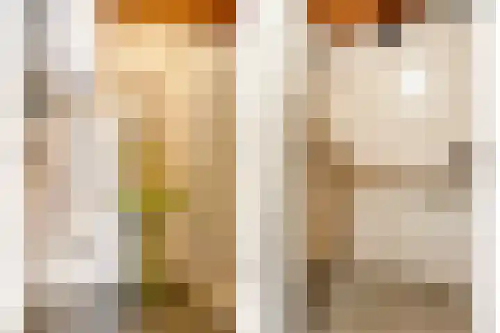Julianalaan 96 Oss thumbnail 20