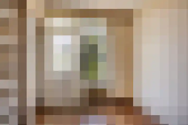 Julianalaan 96 Oss thumbnail 21