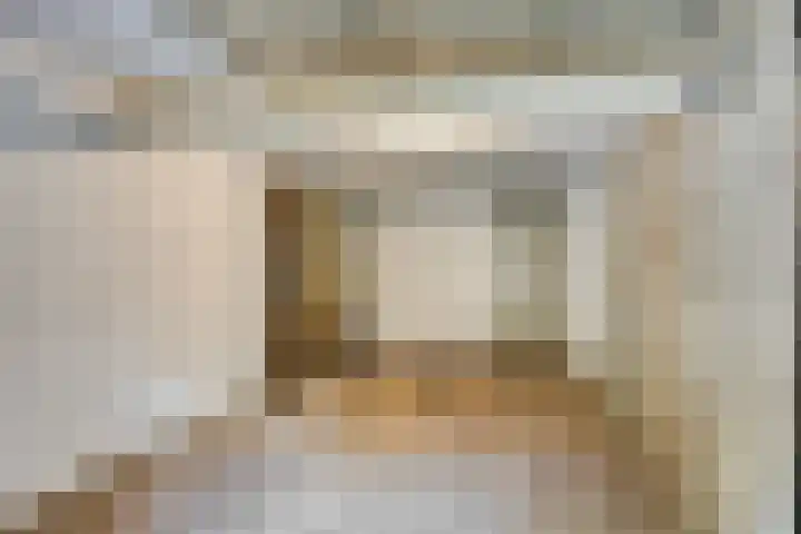 Julianalaan 96 Oss thumbnail 25
