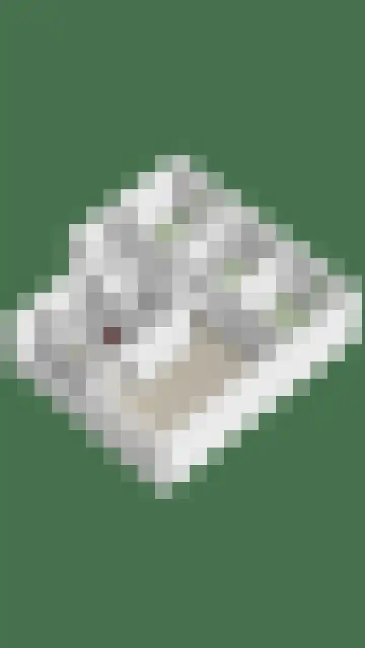 Julianalaan 96 Oss thumbnail 31