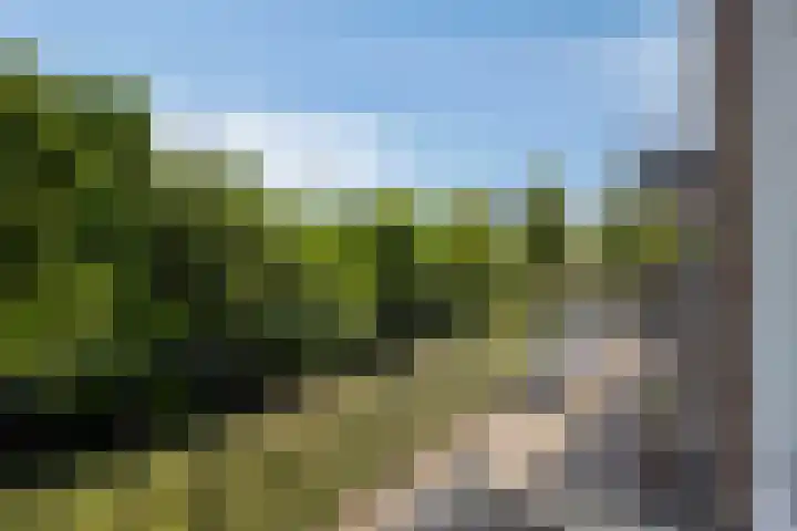 Julianalaan 96 Oss thumbnail 5