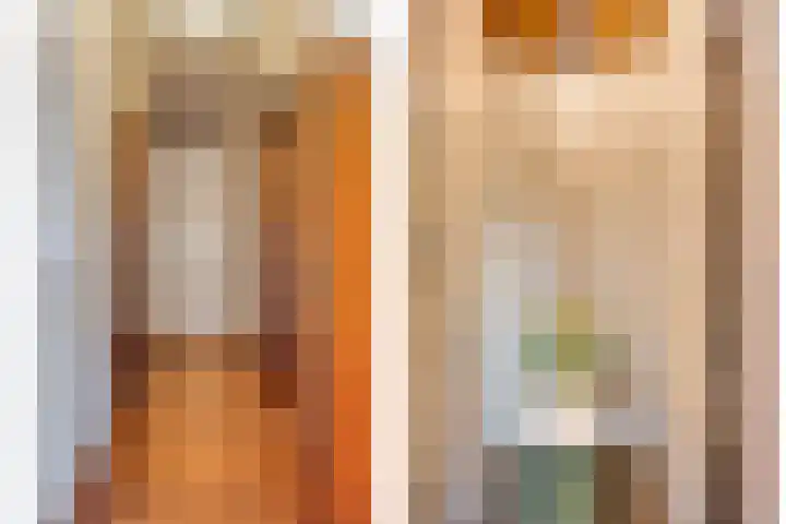 Julianalaan 96 Oss thumbnail 8