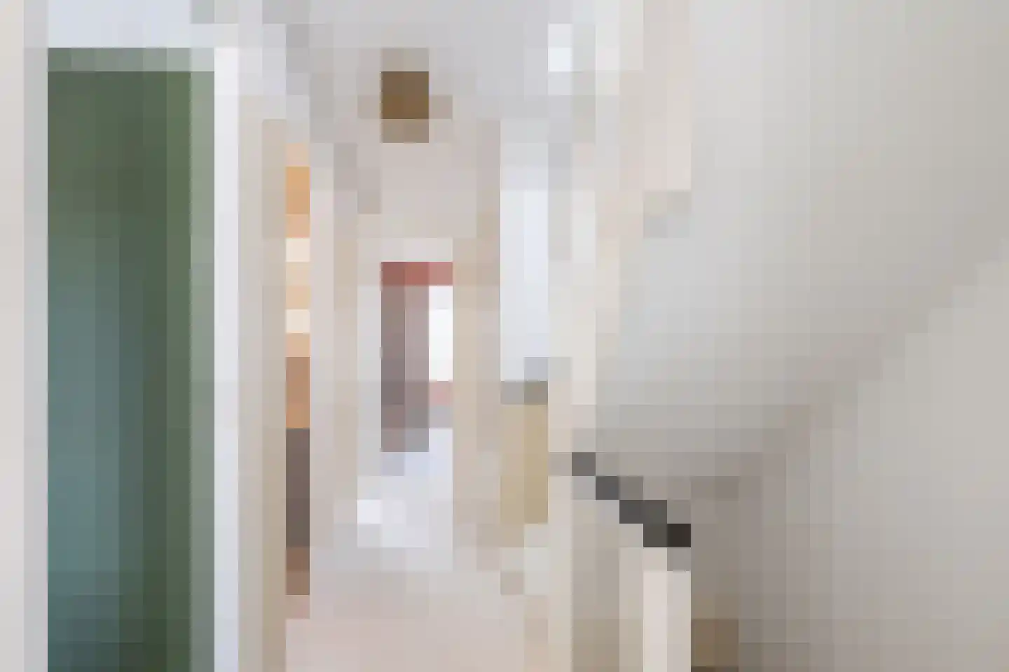 Julianalaan 98 A Schiedam thumbnail 16