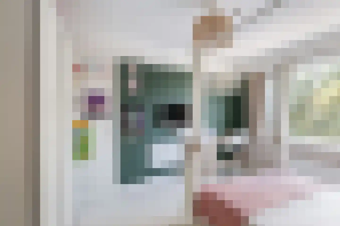 Julianalaan 98 A Schiedam thumbnail 19
