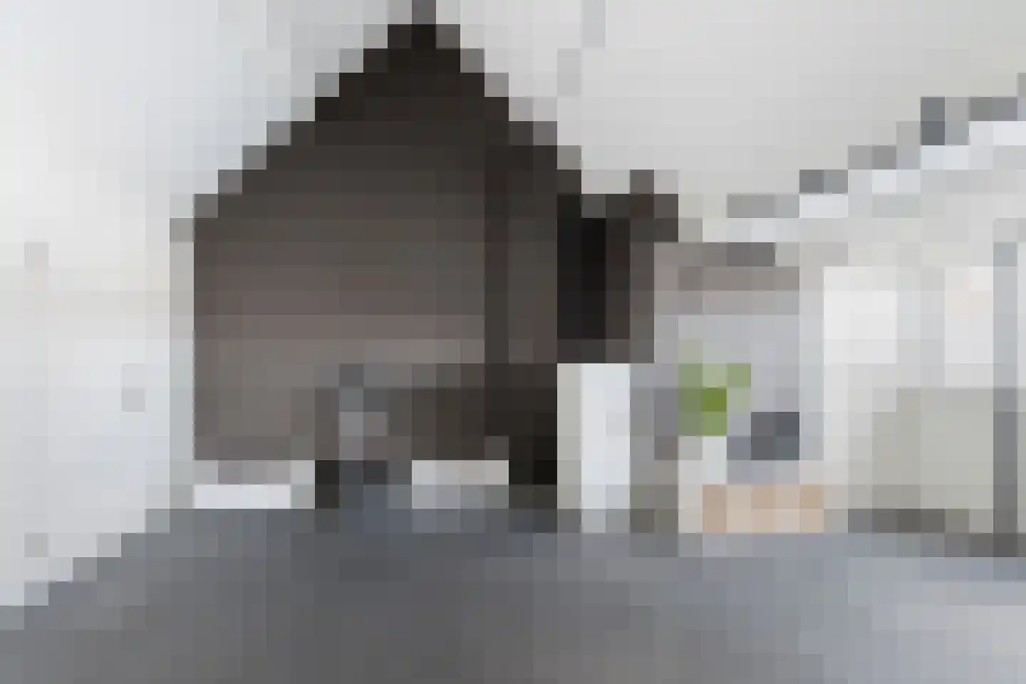 Julianalaan 98 A Schiedam thumbnail 31