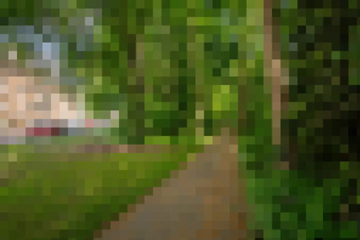 Julianalaan 98 A Schiedam thumbnail 37
