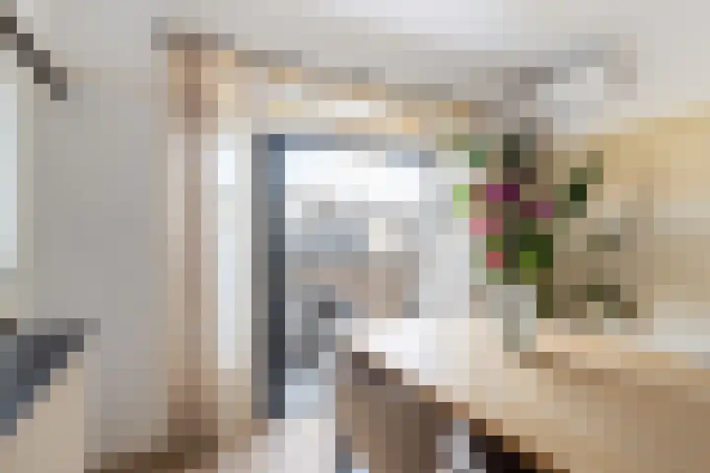 Julianalaan 98 A Schiedam thumbnail 6