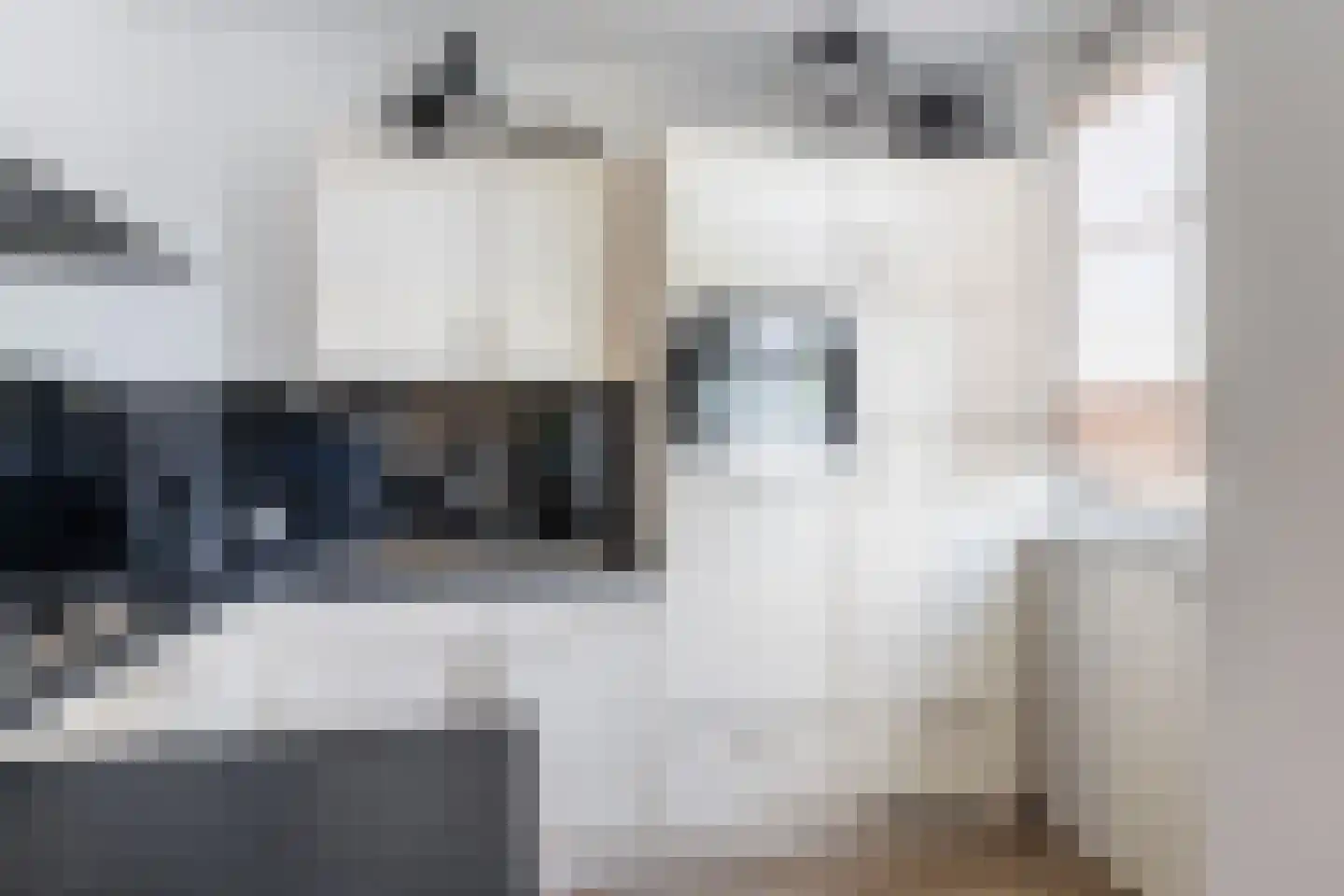 Julianalaan 98 A Schiedam thumbnail 9