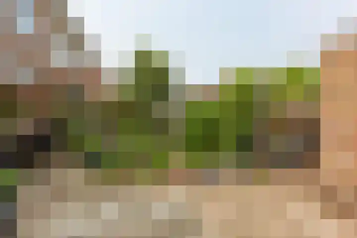 Julianapark 3 Zoeterwoude thumbnail 15