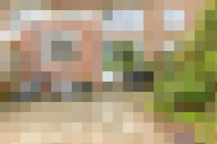 Julianapark 3 Zoeterwoude thumbnail 16