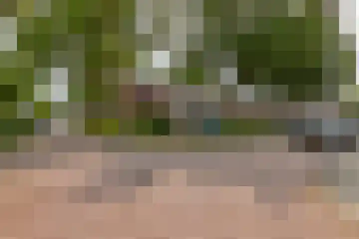 Julianapark 3 Zoeterwoude thumbnail 29