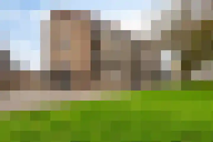 Julianapark 48 17 Tilburg thumbnail 24