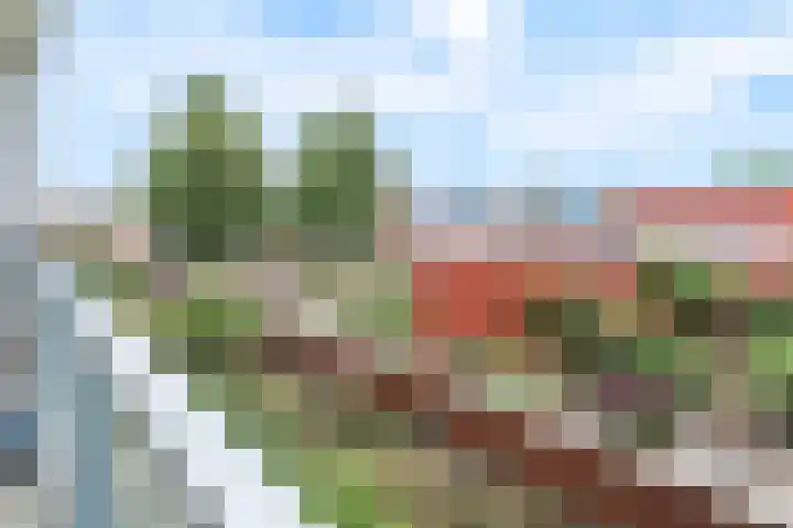 Julianapark 84 Tilburg thumbnail 21