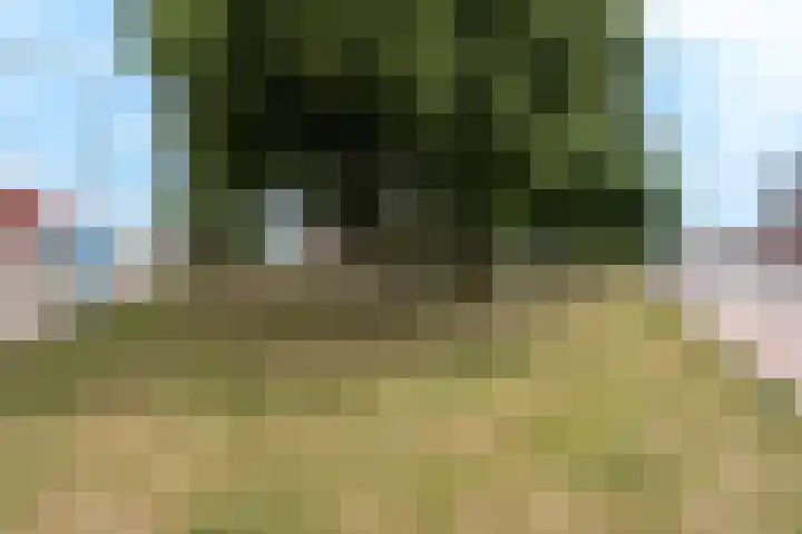 Julianapark 84 Tilburg thumbnail 29