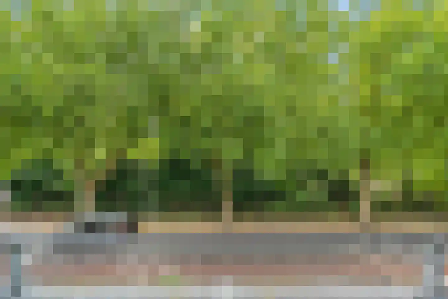 Julianaparklaan 1 E Utrecht thumbnail 16