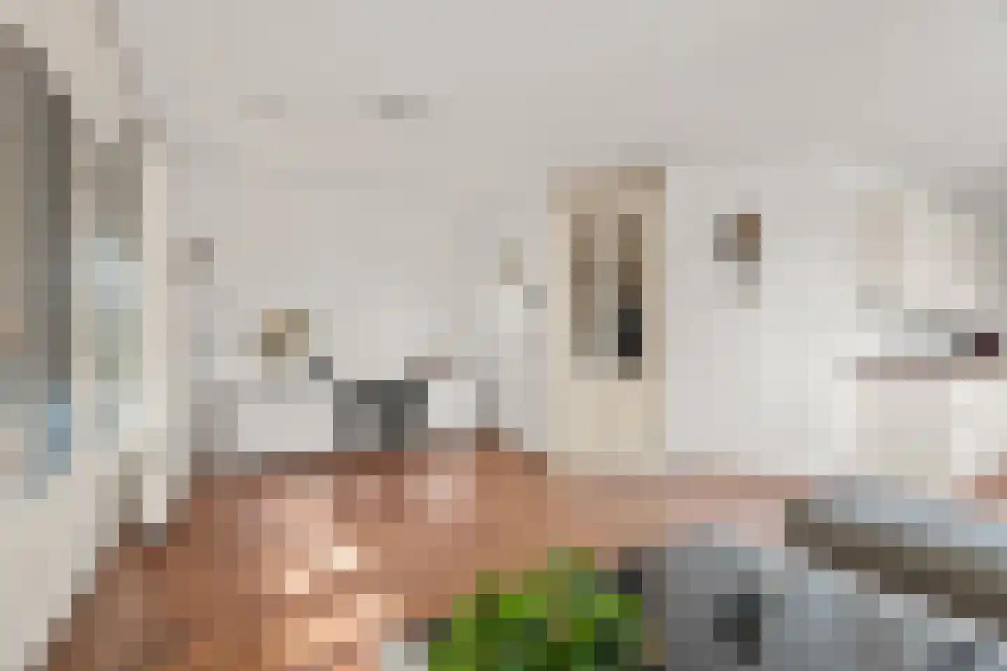 Julianaparklaan 1 E Utrecht thumbnail 17