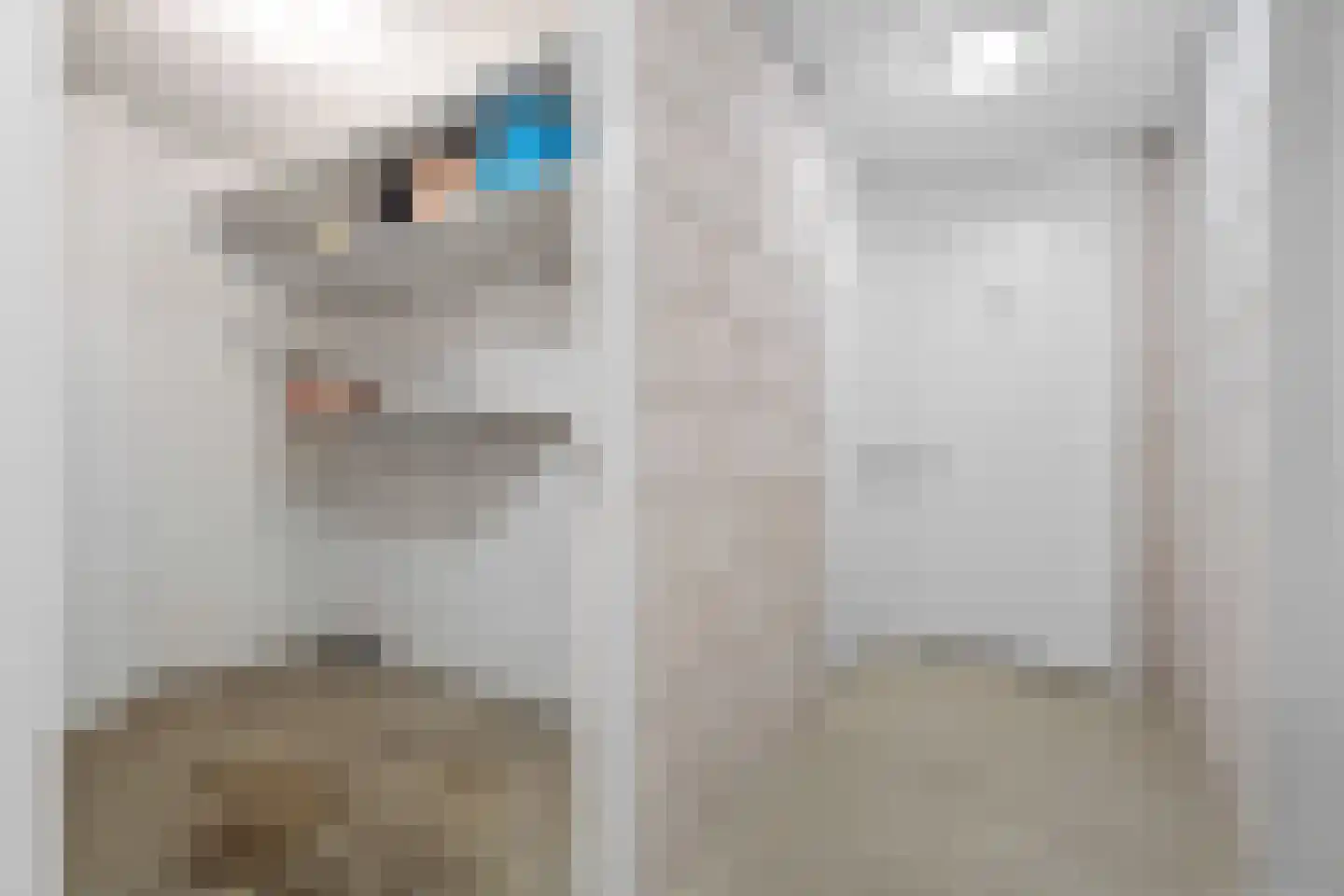 Julianaparklaan 1 E Utrecht thumbnail 31