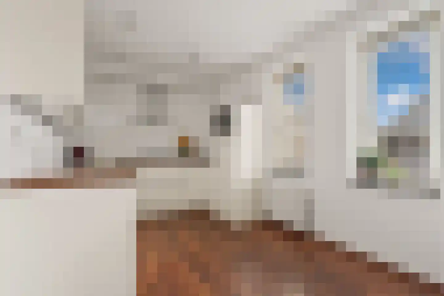 Julianaparklaan 1 E Utrecht thumbnail 4
