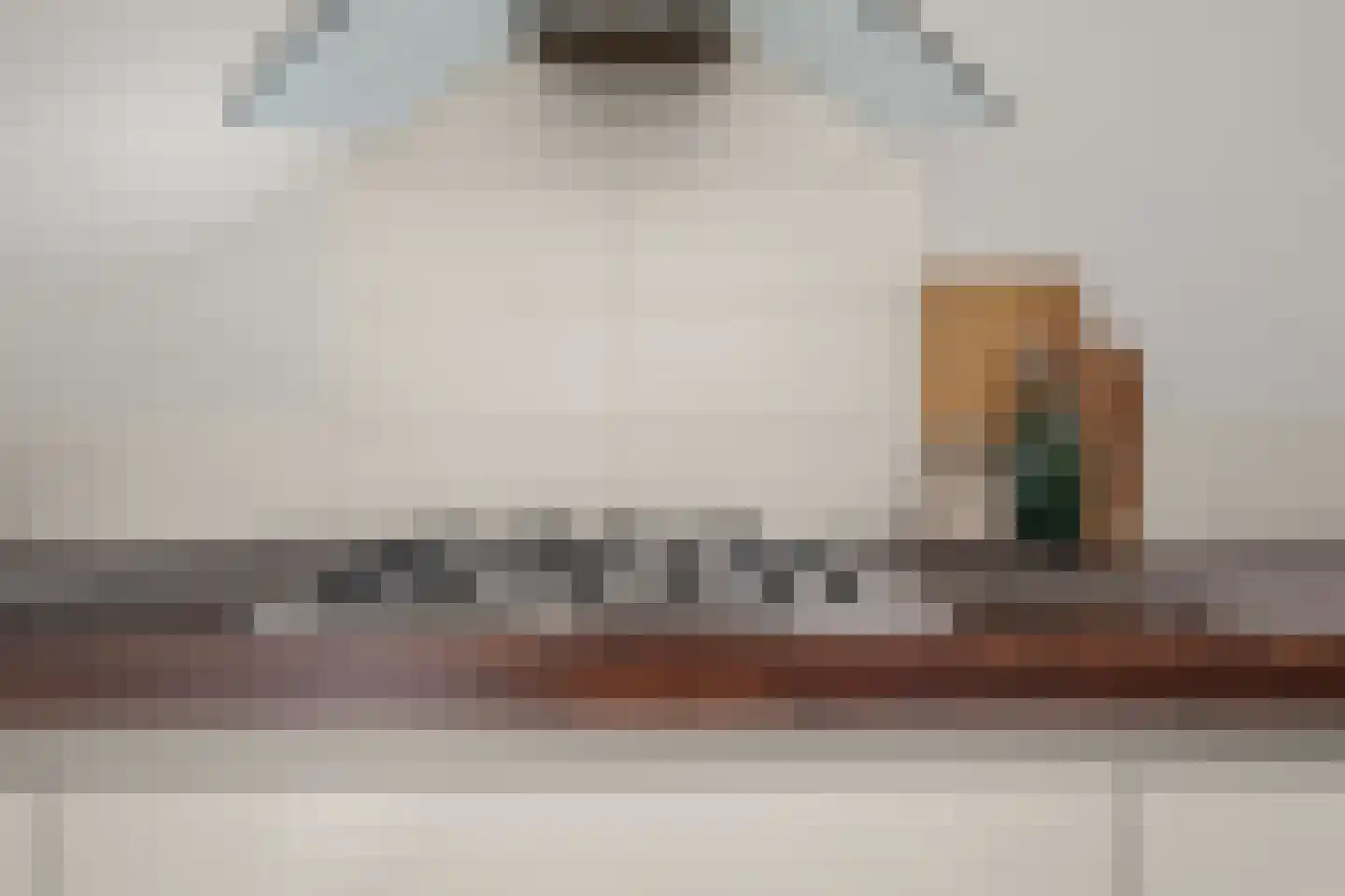 Julianaparklaan 1 E Utrecht thumbnail 8