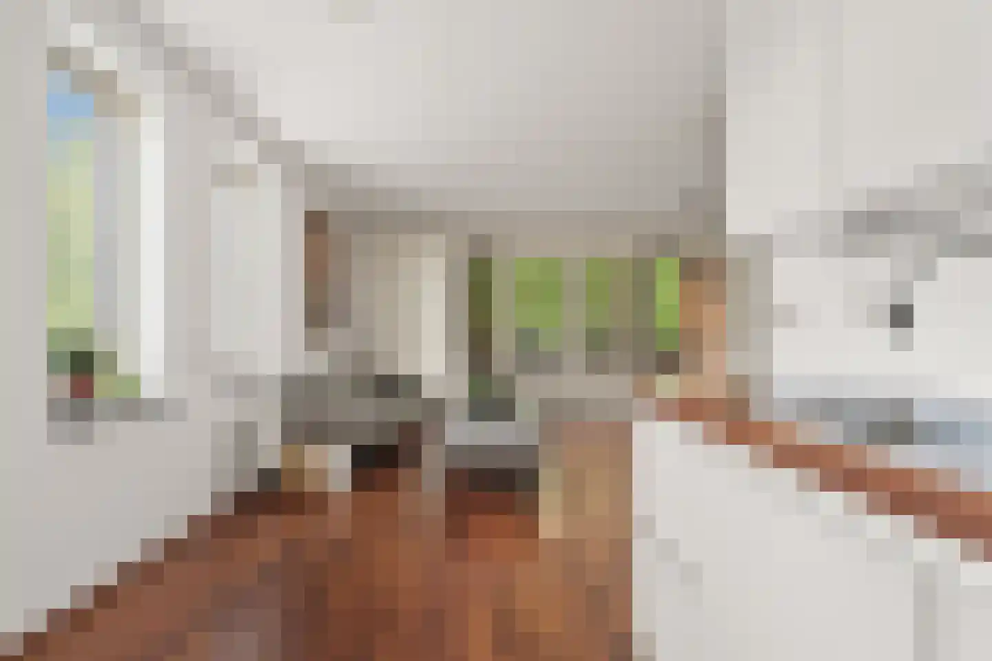 Julianaparklaan 1 E Utrecht thumbnail 9