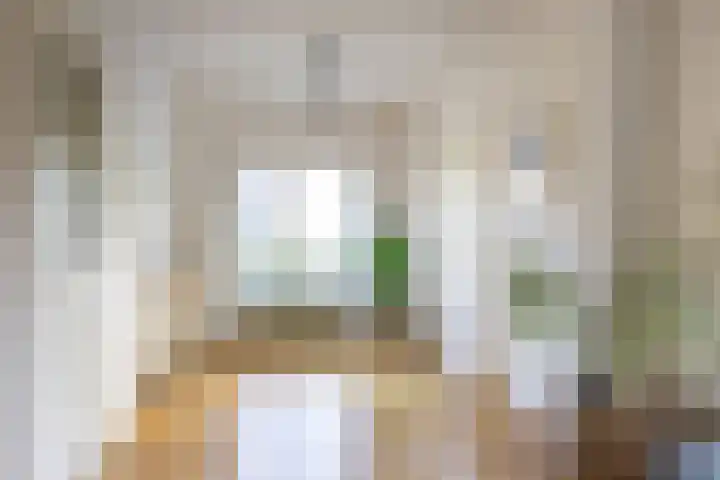Julianaparklaan 3 Utrecht thumbnail 17
