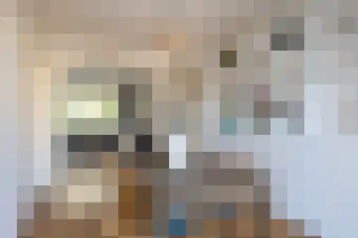 Julianaparklaan 3 Utrecht thumbnail 23