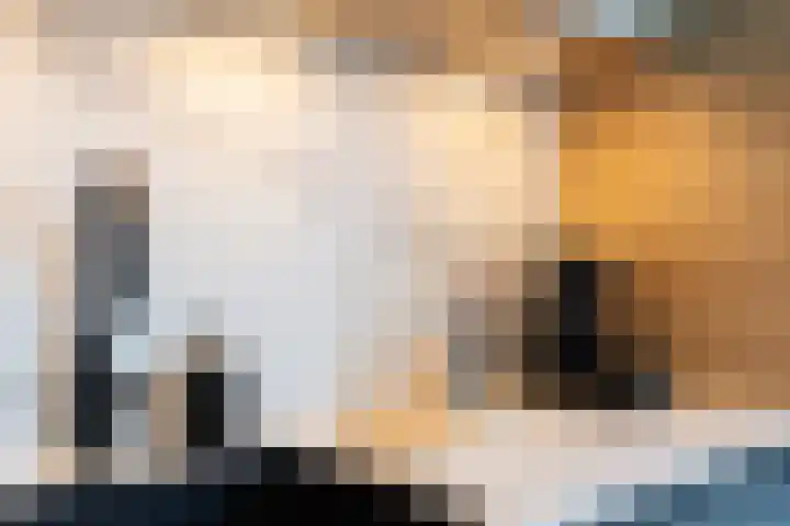 Julianaparklaan 3 Utrecht thumbnail 26