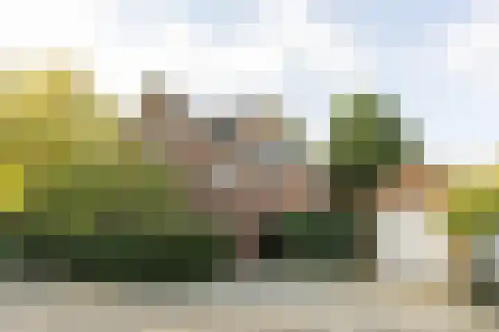 Julianaparklaan 3 Utrecht thumbnail 4