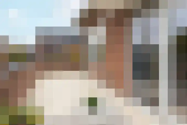 Julianaparklaan 3 Utrecht thumbnail 48