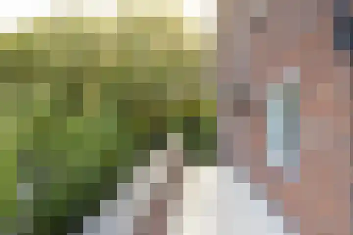 Julianaparklaan 3 Utrecht thumbnail 49