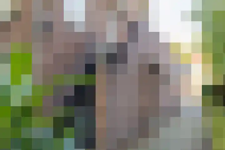 Julianaparklaan 3 Utrecht thumbnail 50