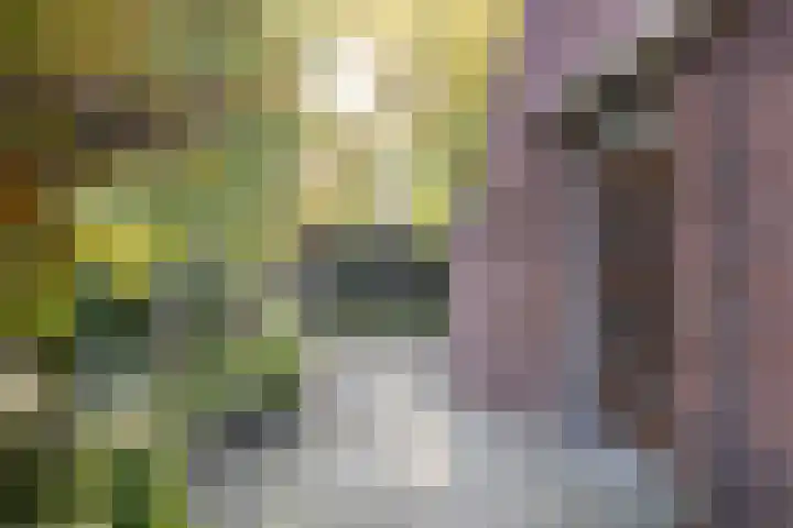 Julianaparklaan 3 Utrecht thumbnail 51