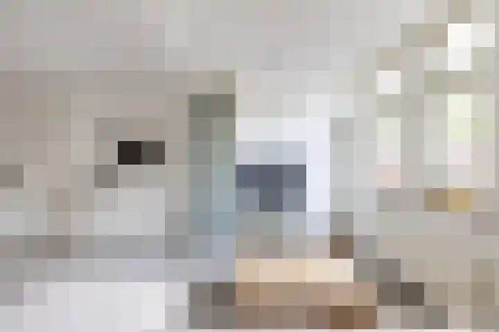 Julianaparklaan 3 Utrecht thumbnail 57