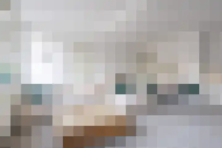 Julianaparklaan 3 Utrecht thumbnail 59