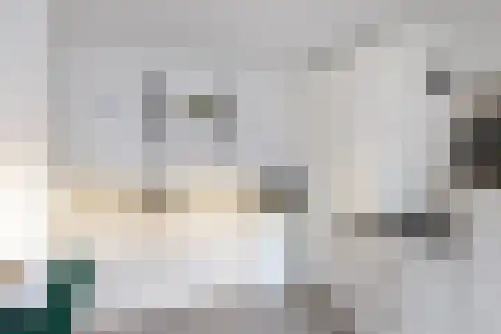Julianaparklaan 3 Utrecht thumbnail 61