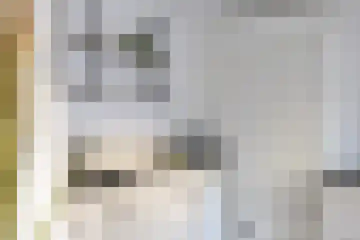 Julianaparklaan 3 Utrecht thumbnail 62