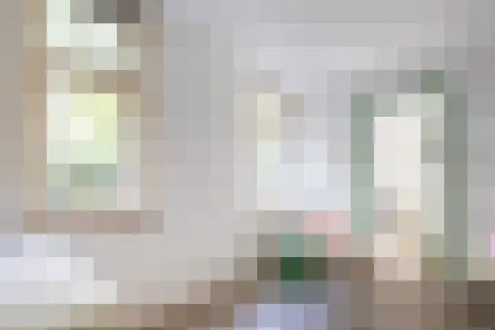 Julianaparklaan 3 Utrecht thumbnail 65