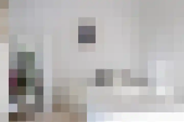 Julianaparklaan 3 Utrecht thumbnail 66