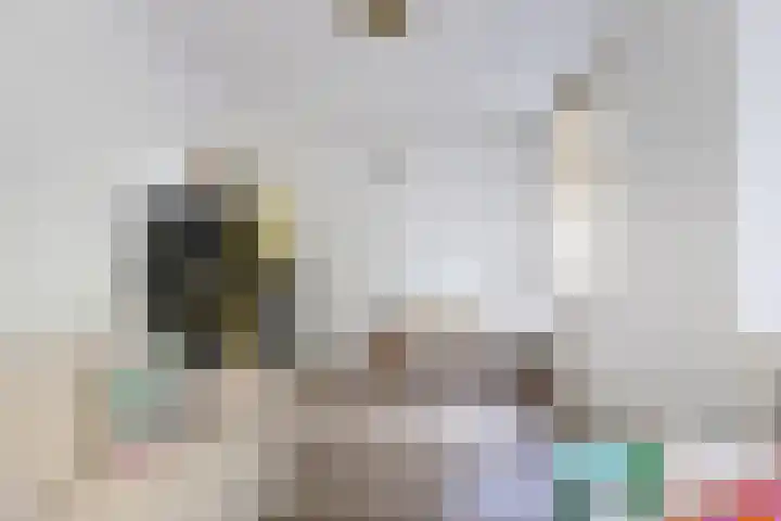 Julianaparklaan 3 Utrecht thumbnail 68