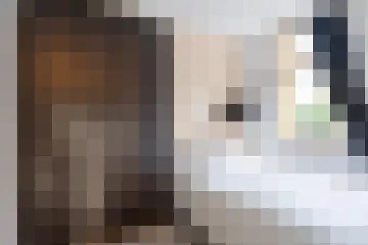 Julianaparklaan 3 Utrecht thumbnail 69