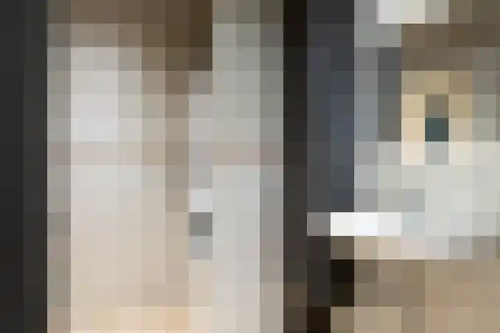 Julianaparklaan 3 Utrecht thumbnail 73