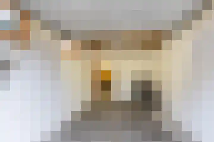 Julianaparklaan 3 Utrecht thumbnail 77