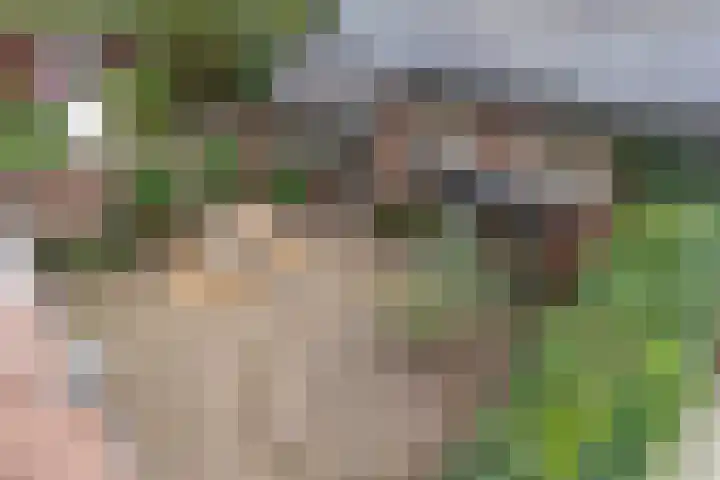 Julianaparklaan 3 Utrecht thumbnail 79