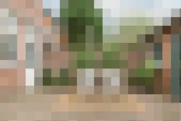 Julianaparklaan 3 Utrecht thumbnail 81