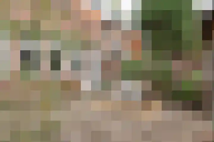 Julianaparklaan 3 Utrecht thumbnail 82
